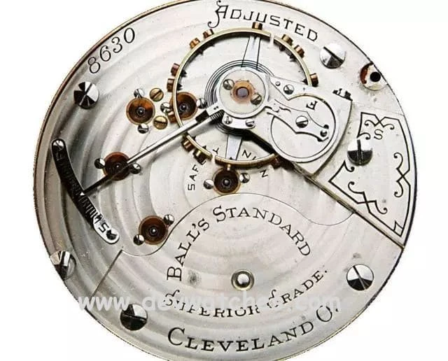 fake watch